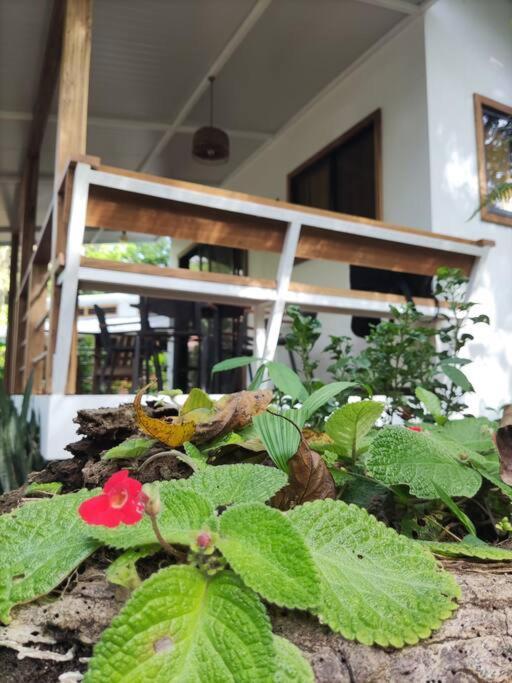 Little Yemanja Bungalow Puerto Viejo de Talamanca Exteriör bild