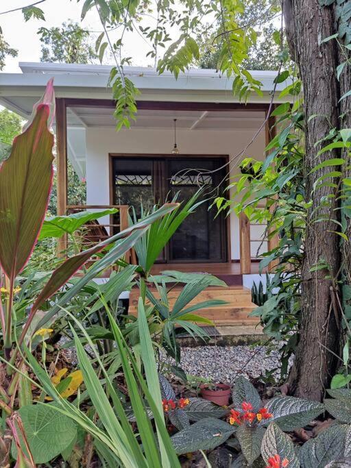 Little Yemanja Bungalow Puerto Viejo de Talamanca Exteriör bild