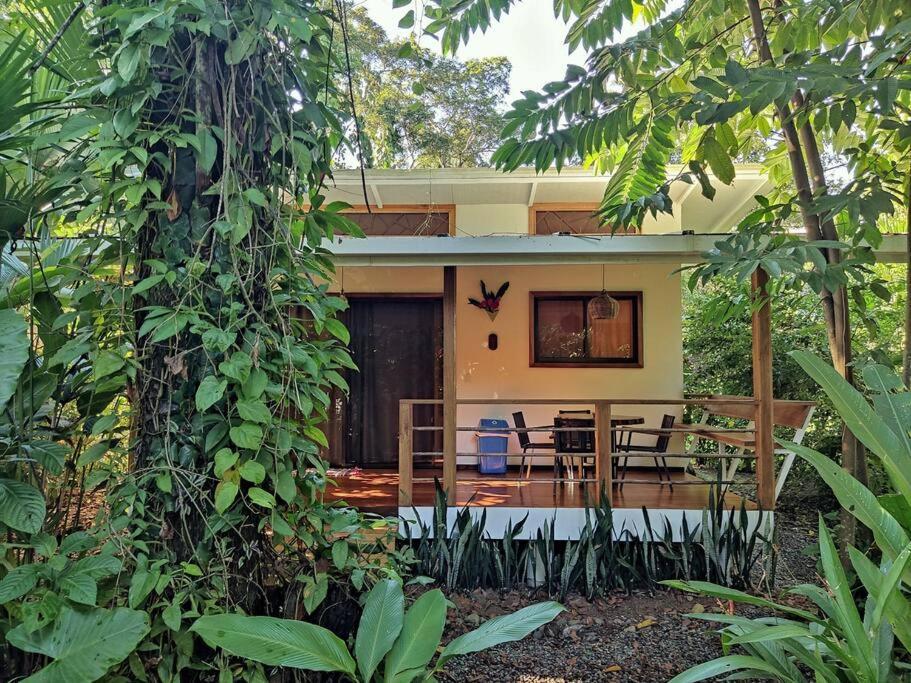 Little Yemanja Bungalow Puerto Viejo de Talamanca Exteriör bild