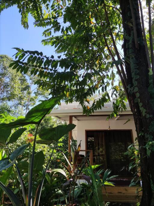 Little Yemanja Bungalow Puerto Viejo de Talamanca Exteriör bild